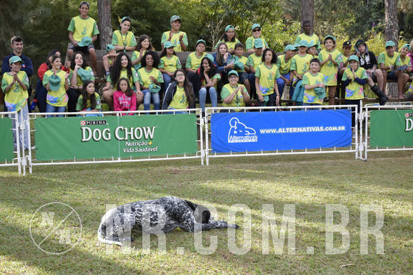 Buy your photos of the eventNR 1 - Cl�ssico  30 A 03/07/19 on Fotop