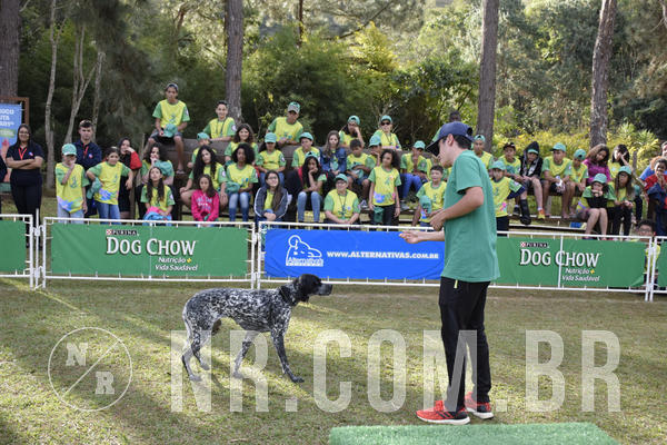 Buy your photos of the eventNR 1 - Cl�ssico  30 A 03/07/19 on Fotop