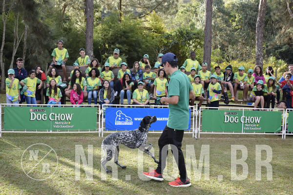 Buy your photos of the eventNR 1 - Cl�ssico  30 A 03/07/19 on Fotop