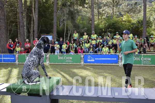 Buy your photos of the eventNR 1 - Cl�ssico  30 A 03/07/19 on Fotop