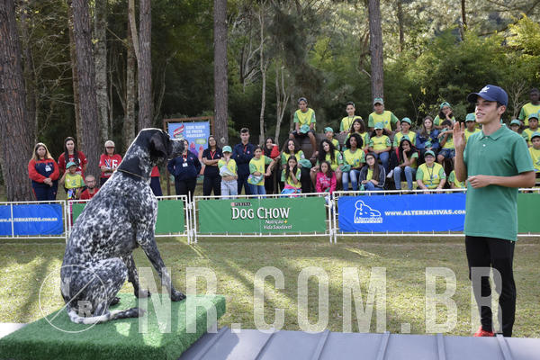 Buy your photos of the eventNR 1 - Cl�ssico  30 A 03/07/19 on Fotop