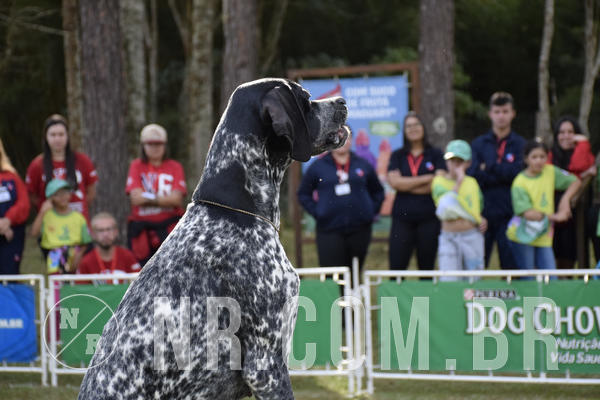 Buy your photos of the eventNR 1 - Cl�ssico  30 A 03/07/19 on Fotop