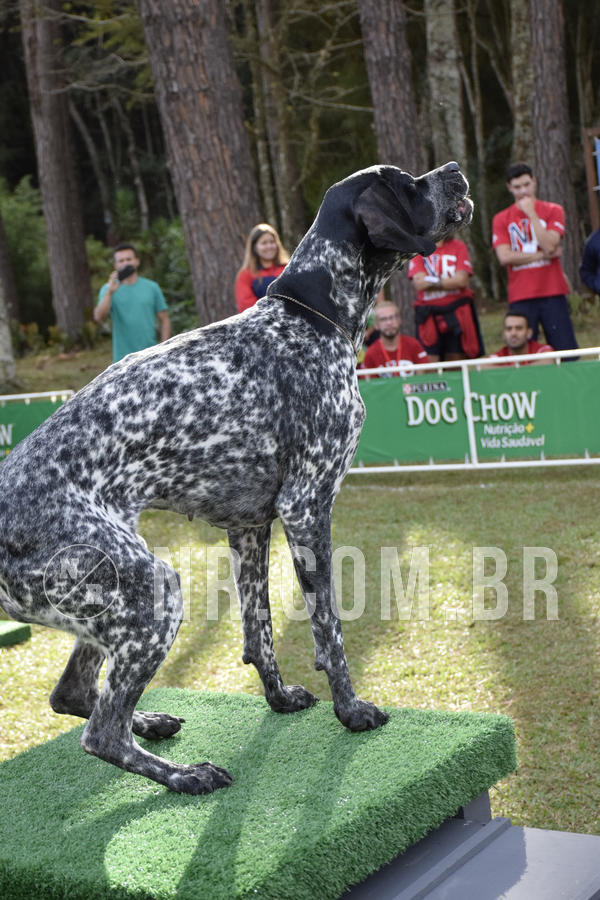 Buy your photos of the eventNR 1 - Cl�ssico  30 A 03/07/19 on Fotop