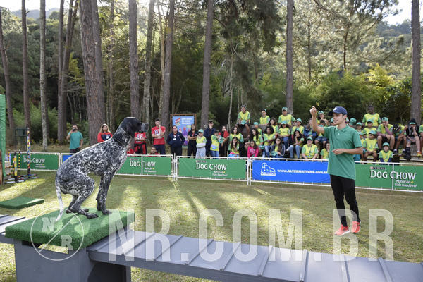 Buy your photos of the eventNR 1 - Cl�ssico  30 A 03/07/19 on Fotop