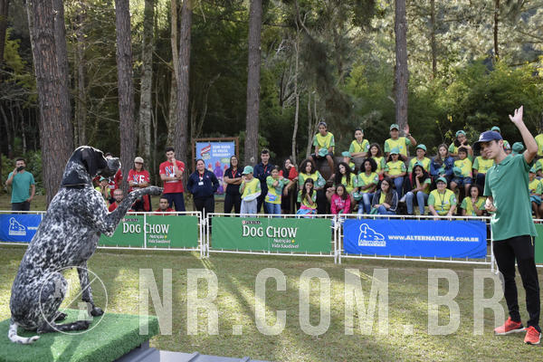 Buy your photos of the eventNR 1 - Cl�ssico  30 A 03/07/19 on Fotop