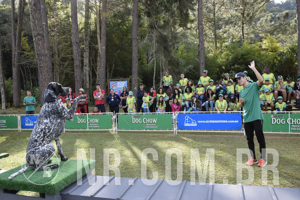 Buy your photos of the eventNR 1 - Cl�ssico  30 A 03/07/19 on Fotop