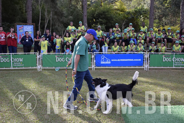 Buy your photos of the eventNR 1 - Cl�ssico  30 A 03/07/19 on Fotop