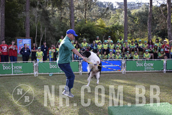 Buy your photos of the eventNR 1 - Cl�ssico  30 A 03/07/19 on Fotop