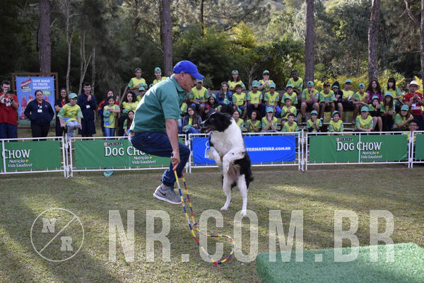 Buy your photos of the eventNR 1 - Cl�ssico  30 A 03/07/19 on Fotop