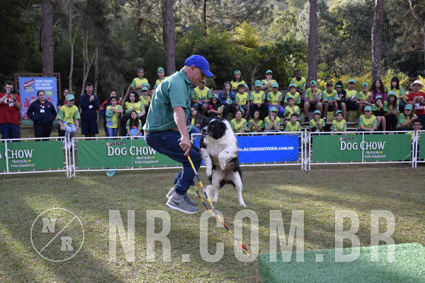 Buy your photos of the eventNR 1 - Cl�ssico  30 A 03/07/19 on Fotop