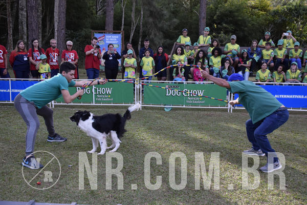 Buy your photos of the eventNR 1 - Cl�ssico  30 A 03/07/19 on Fotop