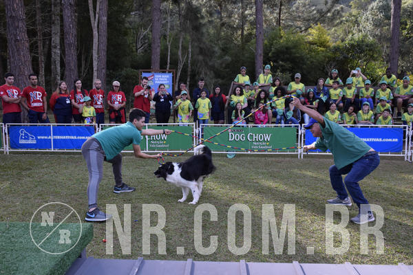 Buy your photos of the eventNR 1 - Cl�ssico  30 A 03/07/19 on Fotop