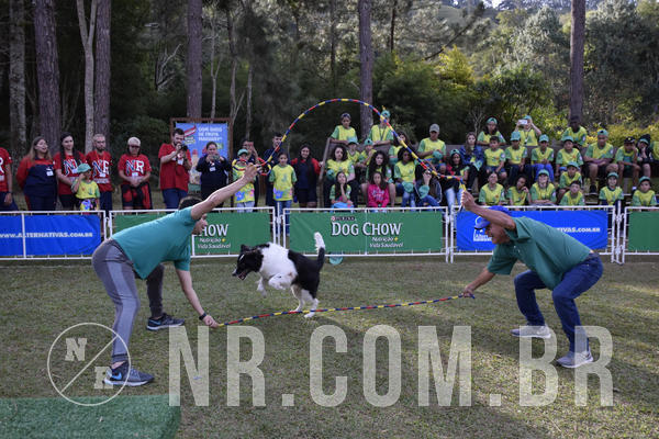 Buy your photos of the eventNR 1 - Cl�ssico  30 A 03/07/19 on Fotop