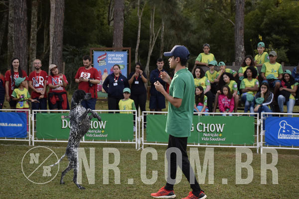 Buy your photos of the eventNR 1 - Cl�ssico  30 A 03/07/19 on Fotop