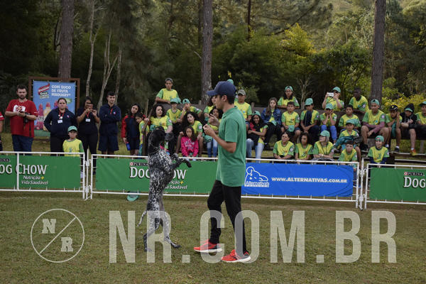 Buy your photos of the eventNR 1 - Cl�ssico  30 A 03/07/19 on Fotop