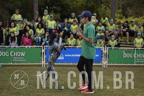 Buy your photos of the eventNR 1 - Cl�ssico  30 A 03/07/19 on Fotop