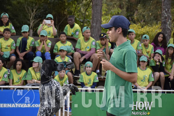 Buy your photos of the eventNR 1 - Cl�ssico  30 A 03/07/19 on Fotop