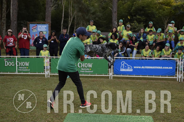 Buy your photos of the eventNR 1 - Cl�ssico  30 A 03/07/19 on Fotop