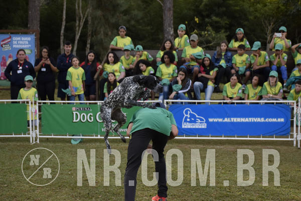 Buy your photos of the eventNR 1 - Cl�ssico  30 A 03/07/19 on Fotop