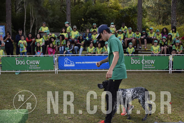 Buy your photos of the eventNR 1 - Cl�ssico  30 A 03/07/19 on Fotop