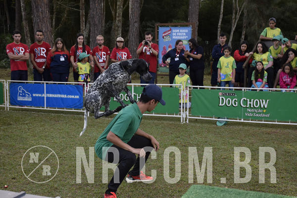 Buy your photos of the eventNR 1 - Cl�ssico  30 A 03/07/19 on Fotop