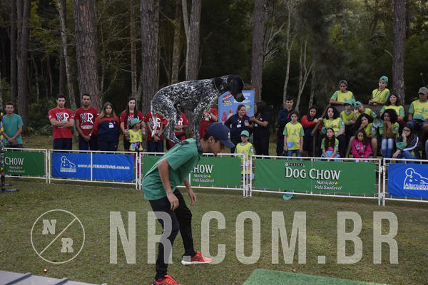 Buy your photos of the eventNR 1 - Cl�ssico  30 A 03/07/19 on Fotop