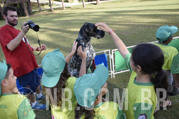 Buy your photos of the eventNR 1 - Cl�ssico  30 A 03/07/19 on Fotop