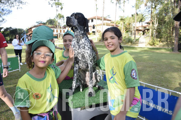 Buy your photos of the eventNR 1 - Cl�ssico  30 A 03/07/19 on Fotop