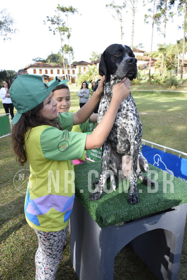 Buy your photos of the eventNR 1 - Cl�ssico  30 A 03/07/19 on Fotop