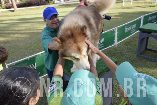 Buy your photos of the eventNR 1 - Cl�ssico  30 A 03/07/19 on Fotop