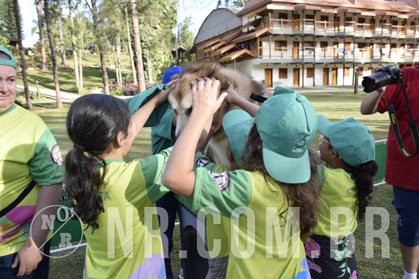 Buy your photos of the eventNR 1 - Cl�ssico  30 A 03/07/19 on Fotop