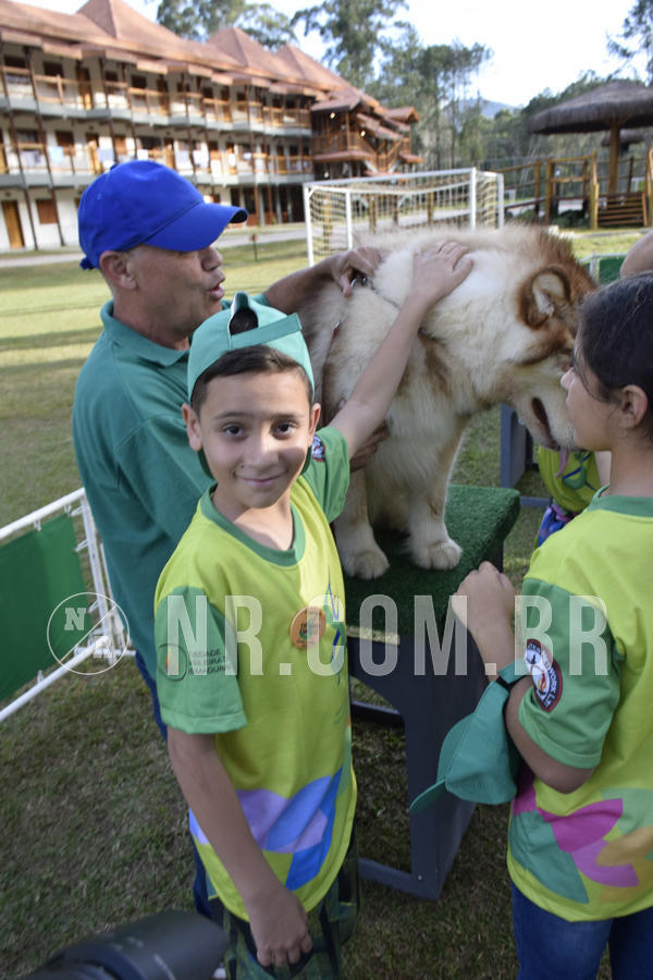 Buy your photos of the eventNR 1 - Cl�ssico  30 A 03/07/19 on Fotop