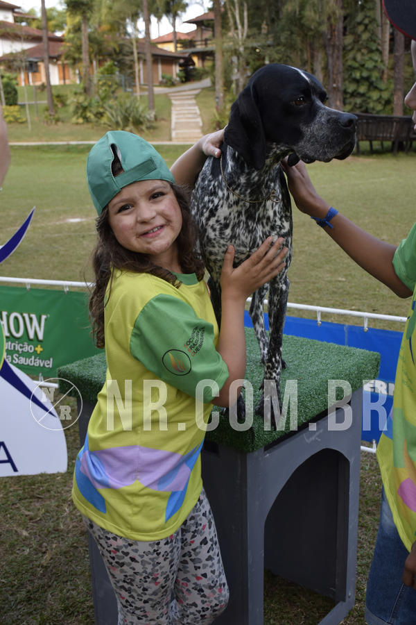 Buy your photos of the eventNR 1 - Cl�ssico  30 A 03/07/19 on Fotop