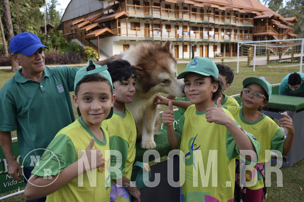 Buy your photos of the eventNR 1 - Cl�ssico  30 A 03/07/19 on Fotop