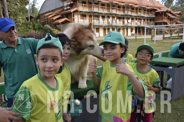 Buy your photos of the eventNR 1 - Cl�ssico  30 A 03/07/19 on Fotop