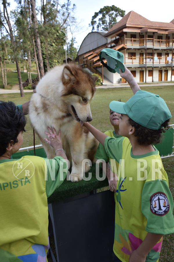 Buy your photos of the eventNR 1 - Cl�ssico  30 A 03/07/19 on Fotop