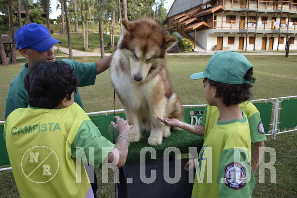 Buy your photos of the eventNR 1 - Cl�ssico  30 A 03/07/19 on Fotop