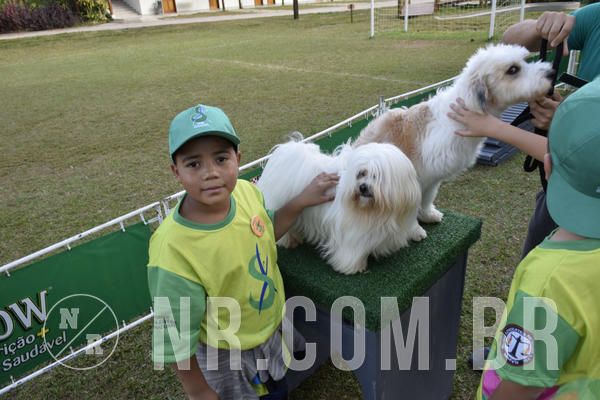 Buy your photos of the eventNR 1 - Cl�ssico  30 A 03/07/19 on Fotop