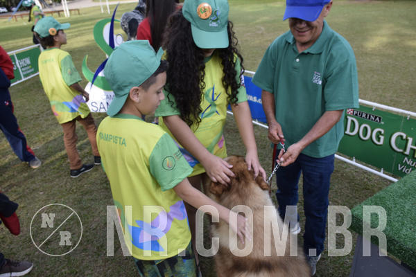 Buy your photos of the eventNR 1 - Cl�ssico  30 A 03/07/19 on Fotop