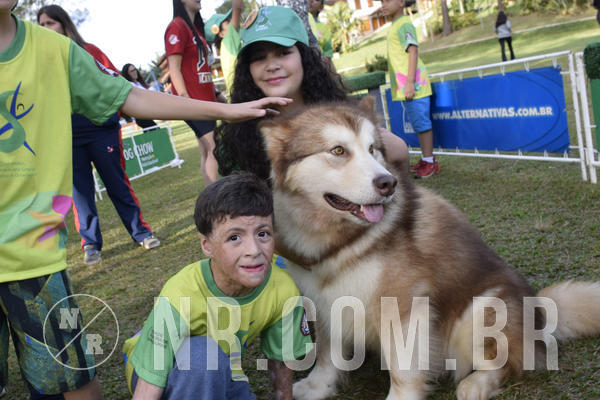 Buy your photos of the eventNR 1 - Cl�ssico  30 A 03/07/19 on Fotop