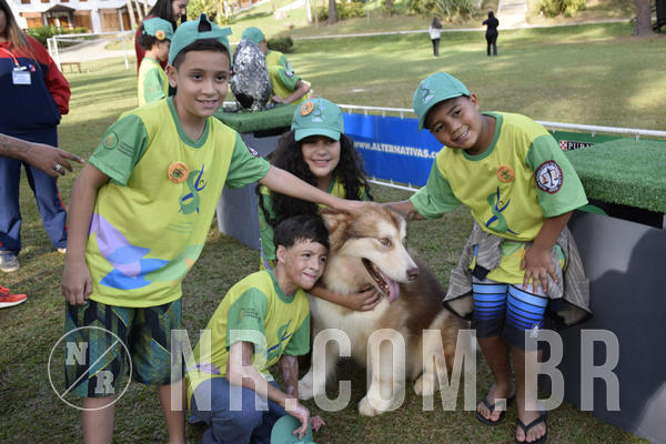 Buy your photos of the eventNR 1 - Cl�ssico  30 A 03/07/19 on Fotop