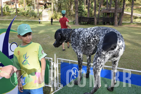 Buy your photos of the eventNR 1 - Cl�ssico  30 A 03/07/19 on Fotop