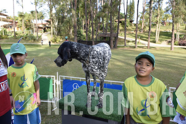 Buy your photos of the eventNR 1 - Cl�ssico  30 A 03/07/19 on Fotop