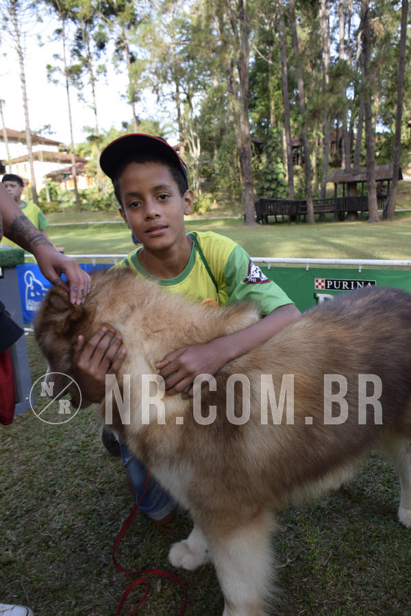 Buy your photos of the eventNR 1 - Cl�ssico  30 A 03/07/19 on Fotop