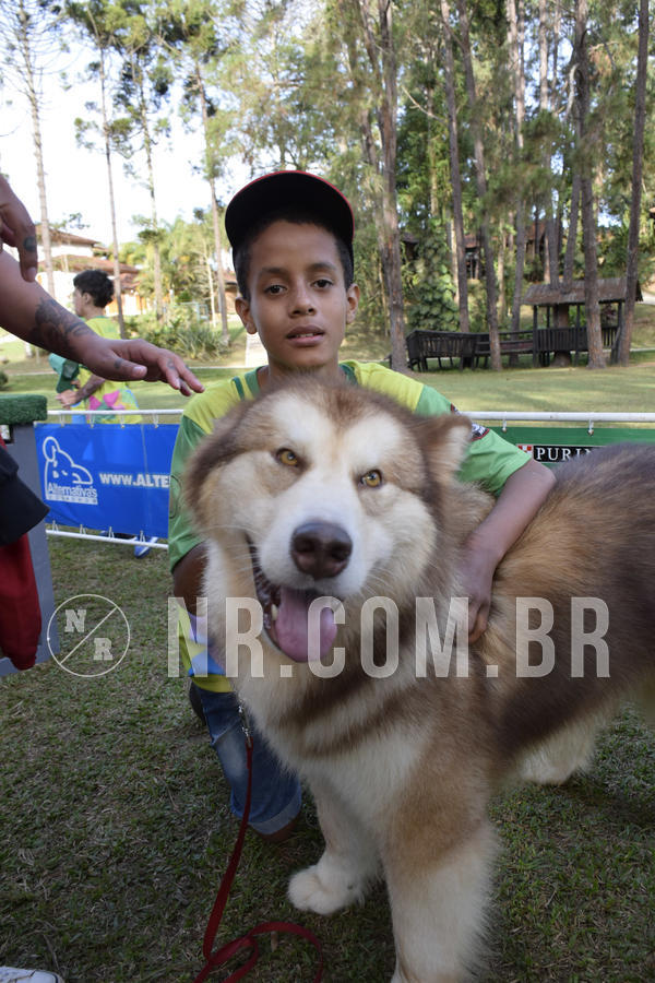 Buy your photos of the eventNR 1 - Cl�ssico  30 A 03/07/19 on Fotop