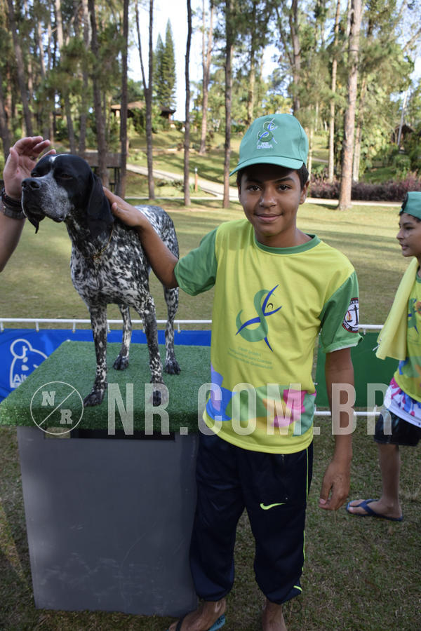 Buy your photos of the eventNR 1 - Cl�ssico  30 A 03/07/19 on Fotop