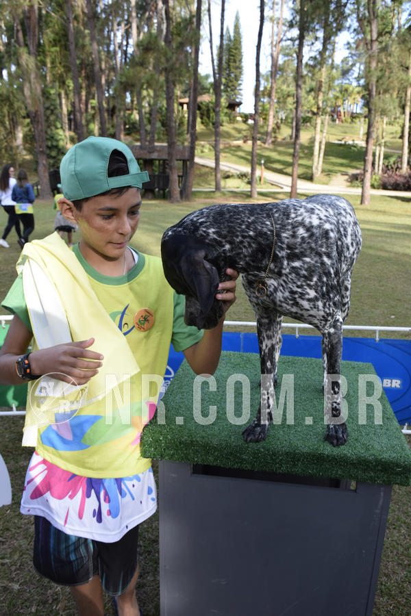 Buy your photos of the eventNR 1 - Cl�ssico  30 A 03/07/19 on Fotop