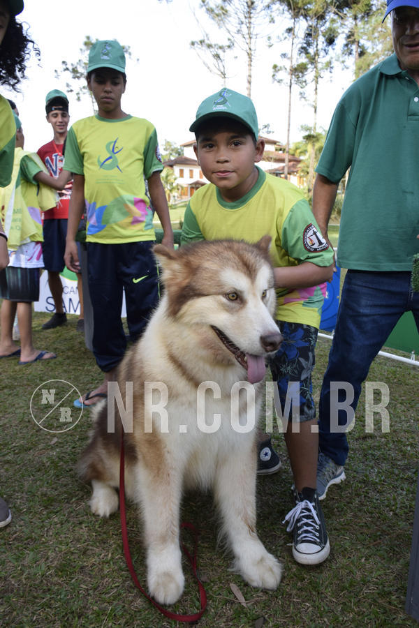 Buy your photos of the eventNR 1 - Cl�ssico  30 A 03/07/19 on Fotop