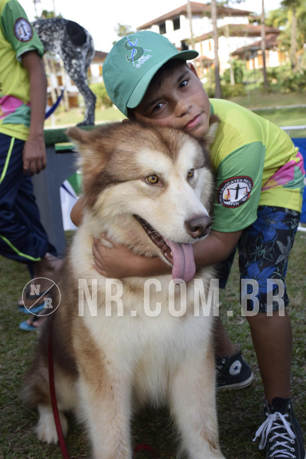 Buy your photos of the eventNR 1 - Cl�ssico  30 A 03/07/19 on Fotop