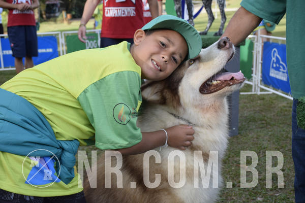 Buy your photos of the eventNR 1 - Cl�ssico  30 A 03/07/19 on Fotop